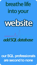 SQL Server Professionals